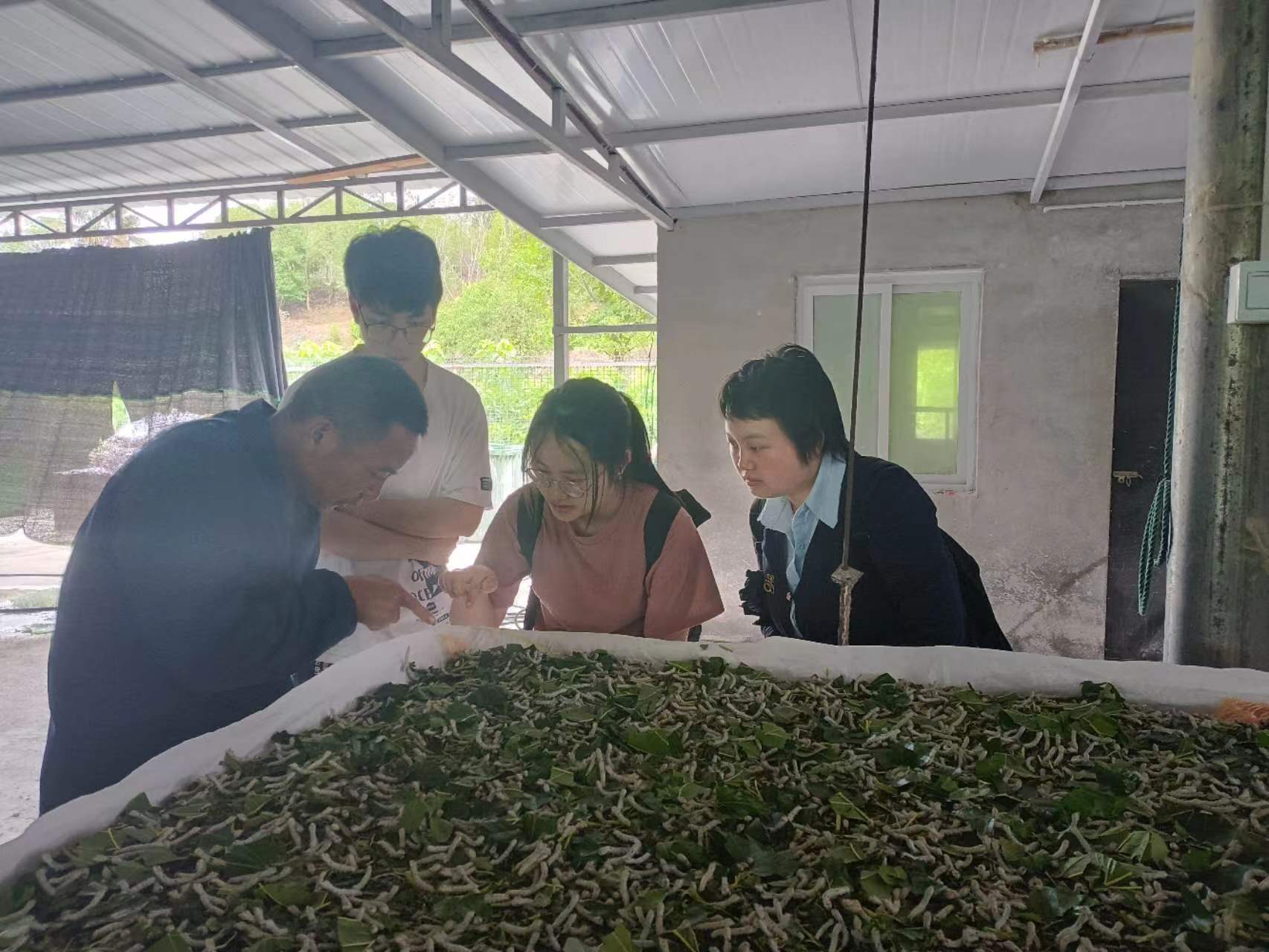 微信图片_20240531163842