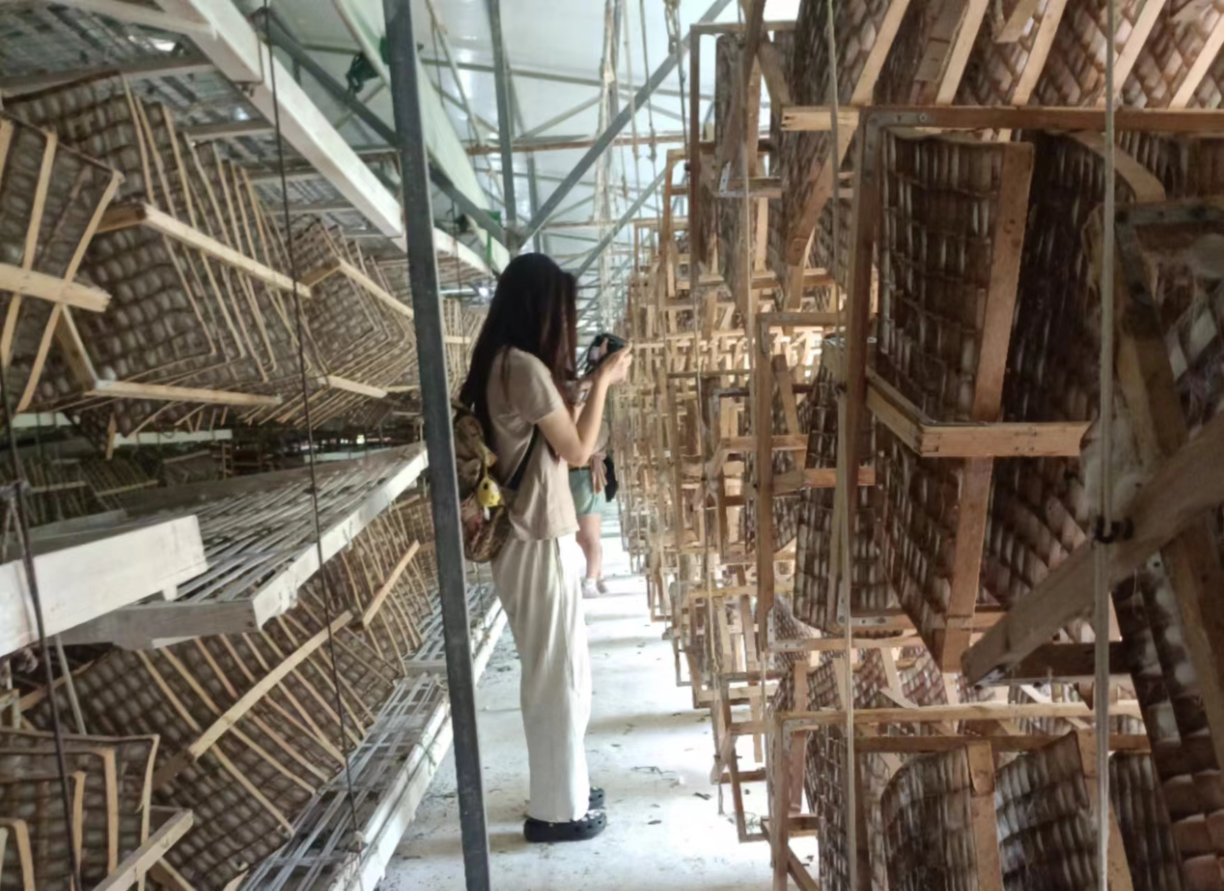 微信图片_20240531163848